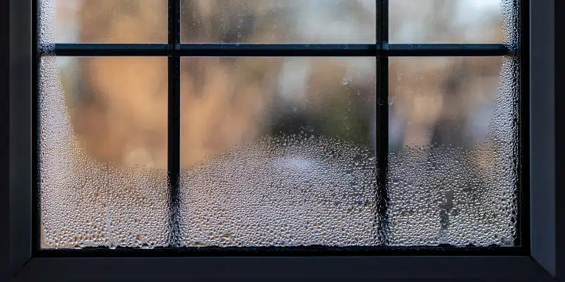 Linton - Condensation Window