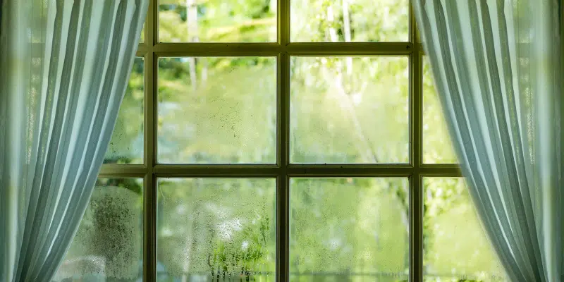 Condensation Between Windowpanes: Causes and Solutions